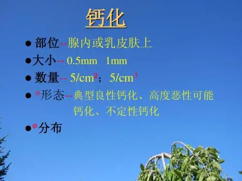 乳腺钼靶.ppt2