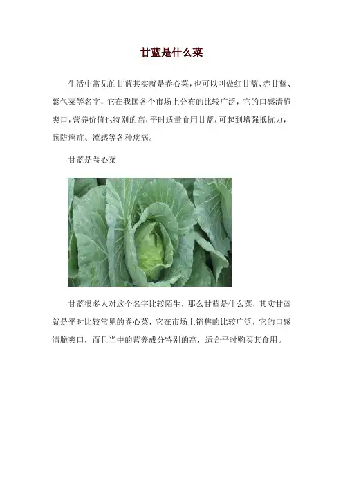 甘蓝是什么菜