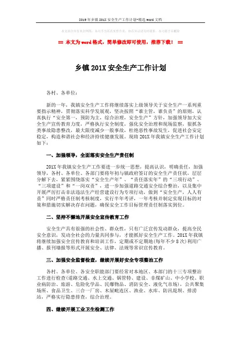 2019年乡镇201X安全生产工作计划-精选word文档 (2页)