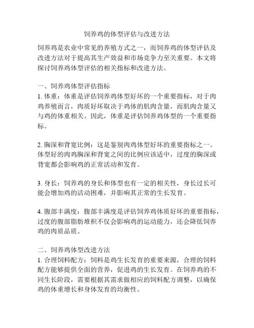 饲养鸡的体型评估与改进方法