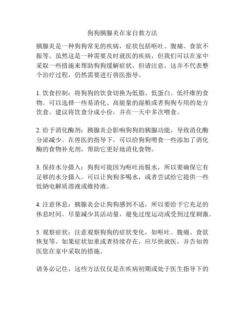 狗狗胰腺炎在家自救方法