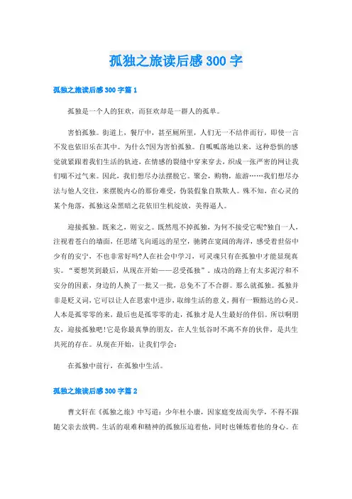 孤独之旅读后感300字