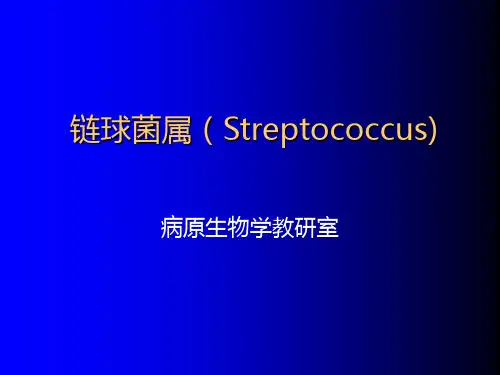 链球菌属PPT课件