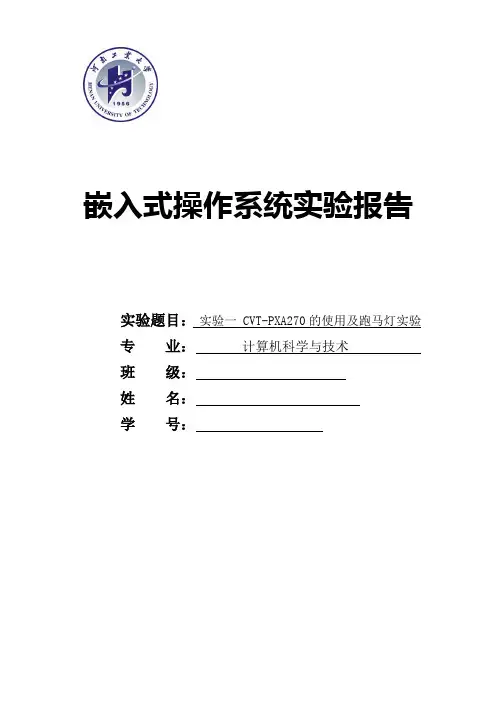 嵌入式操作系统跑马灯实验报告