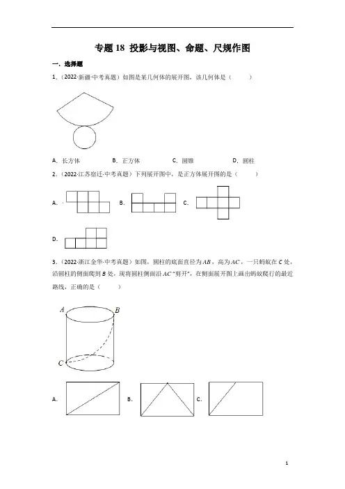 专题18 投影与视图、命题、尺规作图-2023年中考数学真题分项汇编(全国通用)(第1期)(原卷版)