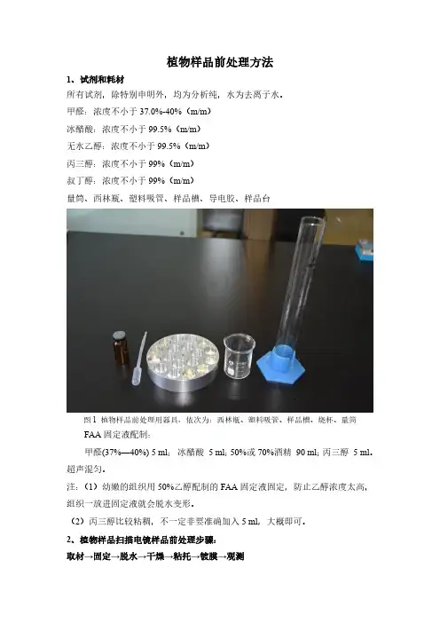 植物样品前处理方法