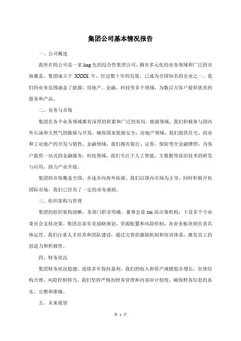 集团公司基本情况报告