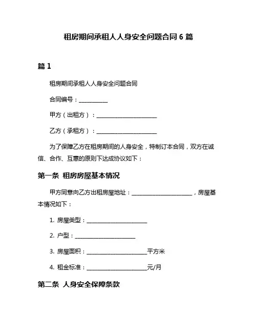 租房期间承租人人身安全问题合同6篇