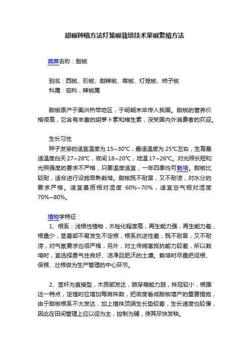 甜椒种植方法灯笼椒栽培技术菜椒繁殖方法