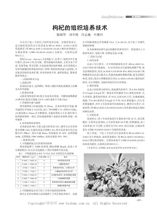 枸杞的组织培养技术
