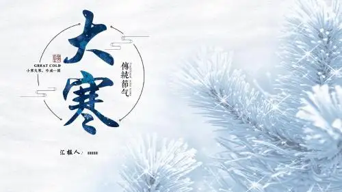 清新二十四节气大寒冬季白色PPT模板
