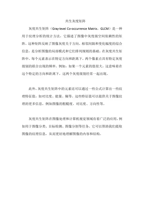 共生灰度矩阵