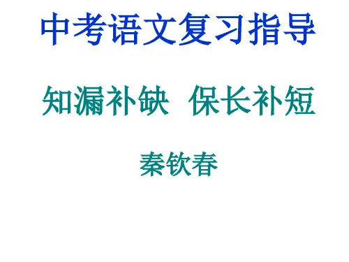 中考语文复习指导ppt课件