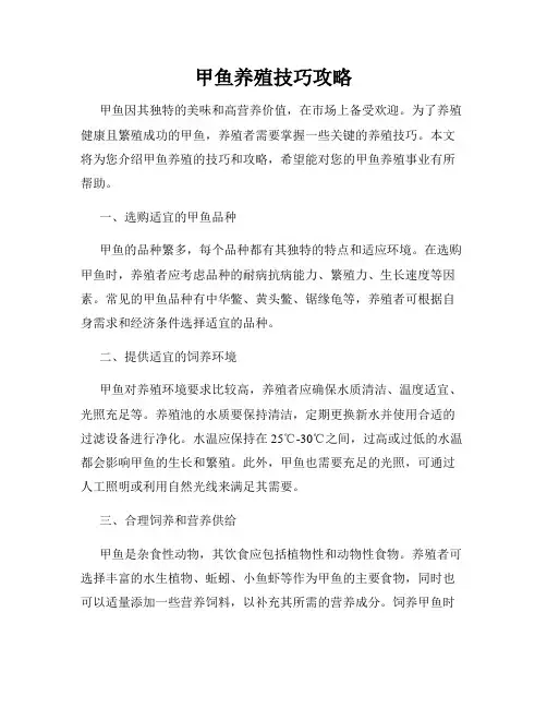 甲鱼养殖技巧攻略