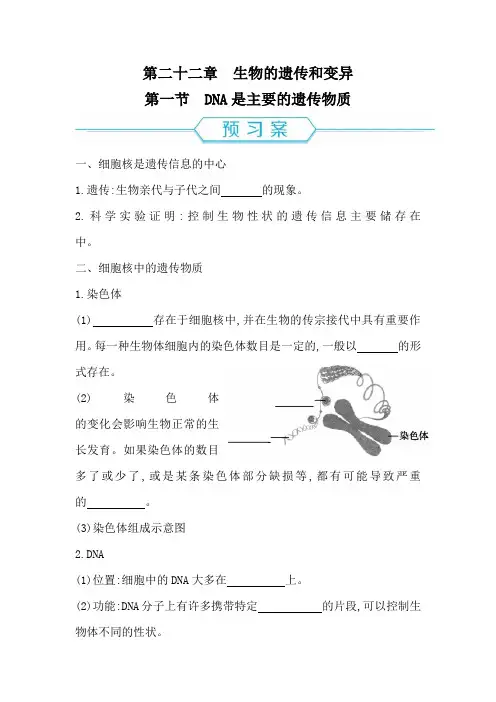DNA是主要的遗传物质导学案与练习