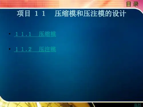 压缩模和压注模的设计