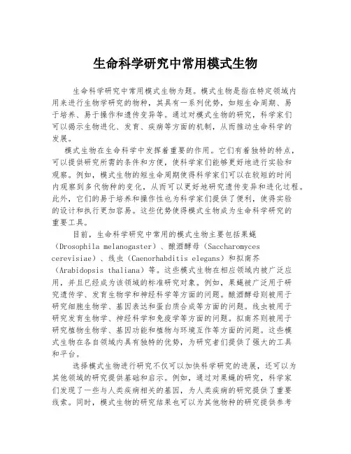 生命科学研究中常用模式生物