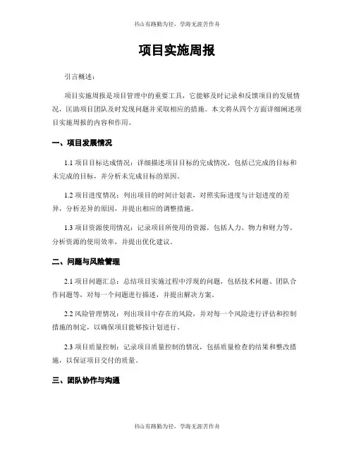 项目实施周报