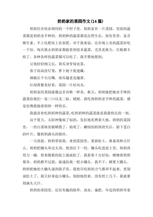 奶奶家的菜园作文(14篇)精选