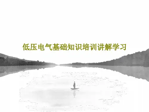低压电气基础知识培训讲解学习101页PPT