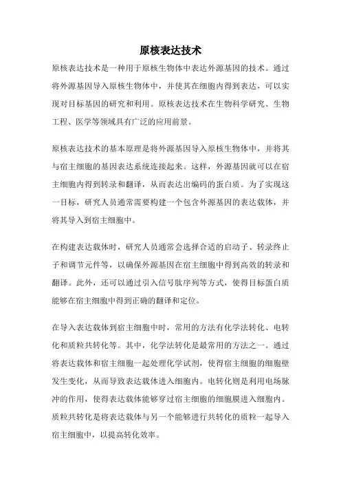 原核表达技术