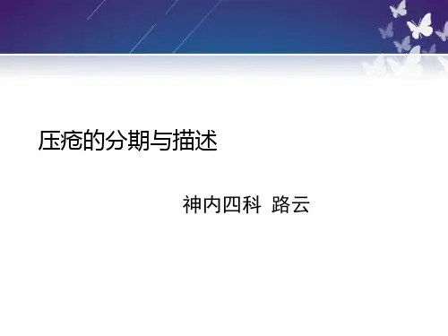 压疮的分期与描述ly