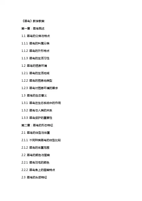 《翠鸟》教学教案