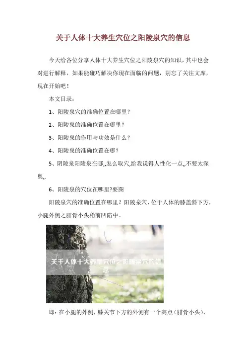 关于人体十大养生穴位之阳陵泉穴的信息