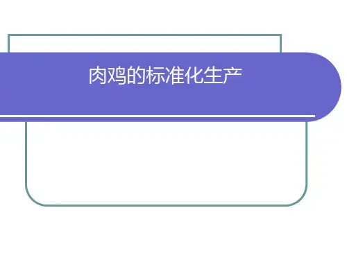 肉鸡标准化