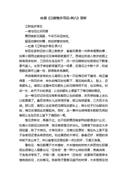 杜甫《江畔独步寻花·其六》赏析