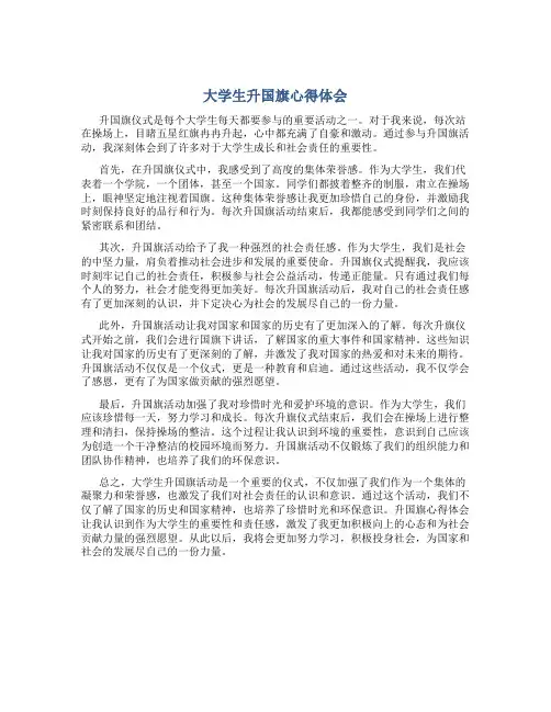 大学生升国旗心得体会