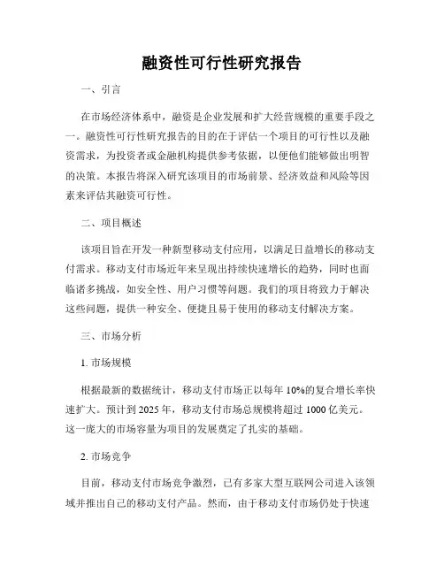 融资性可行性研究报告