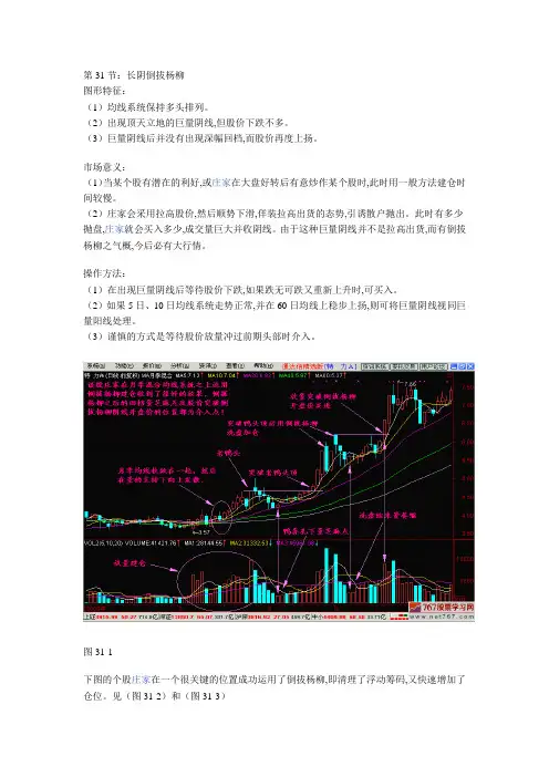 唐能通新生300天(31-40)
