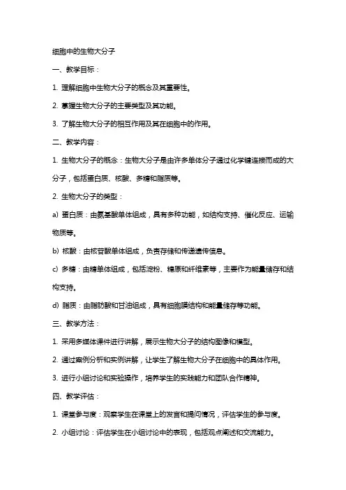 细胞中的生物大分子的教案