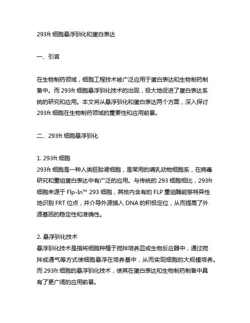 293ft细胞悬浮驯化和蛋白表达