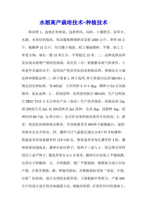 水稻高产栽培技术 - 种植技术