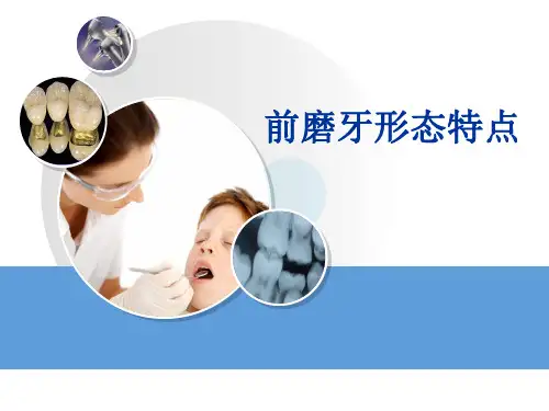 口解实训 (前磨牙)