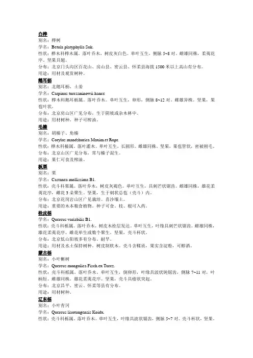 北方常见植物简介