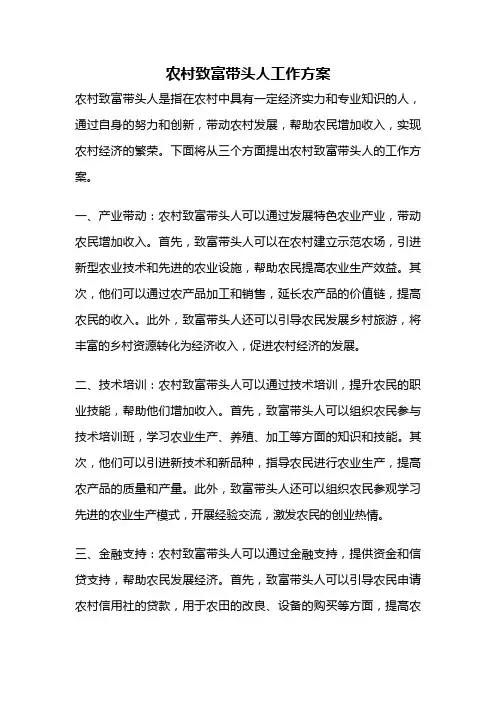 农村致富带头人工作方案