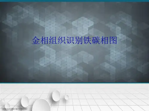 金相组织识别铁碳相图