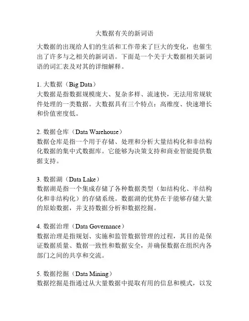 大数据有关的新词语