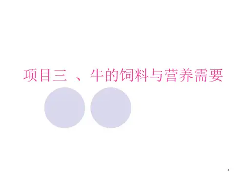 牛的饲料与营养需要课件