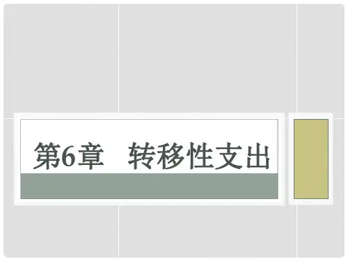 6-转移性支出