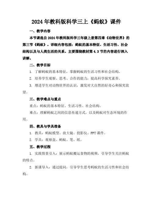 2024年教科版科学三上《蚂蚁》课件