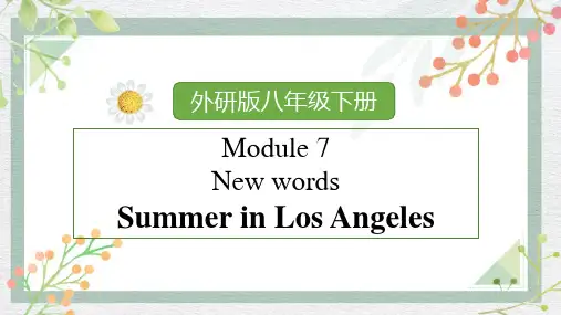 Module 7 Summer in Los Angeles 单词讲解