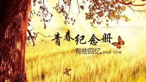 怀旧同学聚会怀旧聚会动态高端大气PPT模板