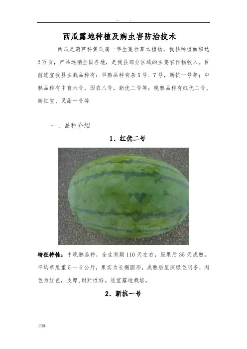 西瓜栽培技术