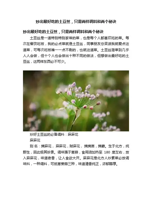 炒出最好吃的土豆丝，只需两样调料和两个秘诀