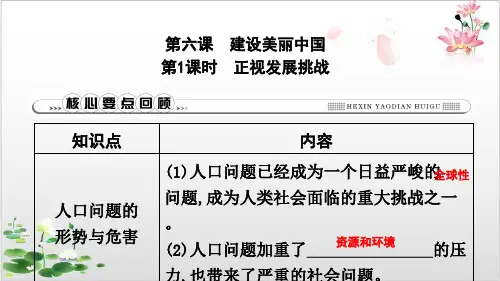 部编版_九年级上册道德与法治习题课件第六课  正视发展挑战PPT