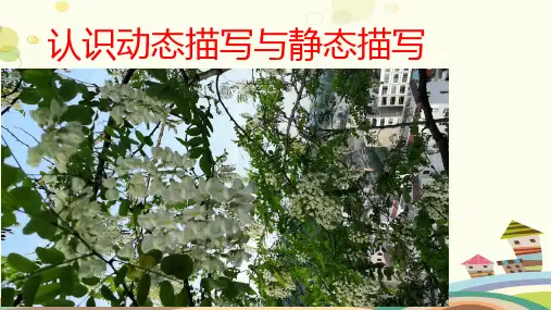 认识静态描写与动态描写-完整版课件